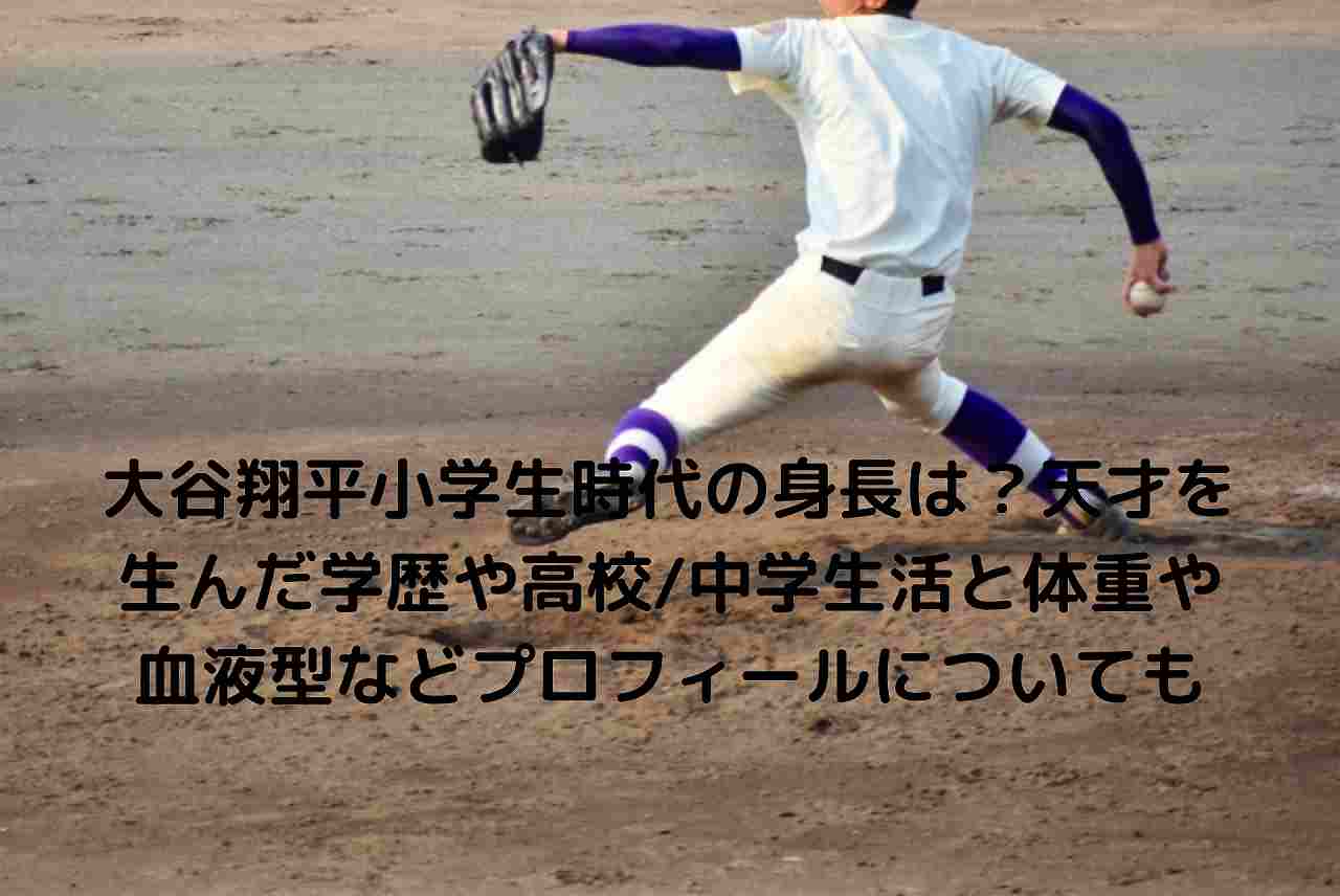 大谷翔平甲子園の成績とドラフト指名球団はどこ 目標達成シートの作り方とエクセルテンプレート Nakaseteの普通が一番むずかしい 大谷翔平甲子園の成績とドラフト指名球団はどこ 目標達成シートの作り方とエクセルテンプレート Nakaseteの普通が一番むずかしい