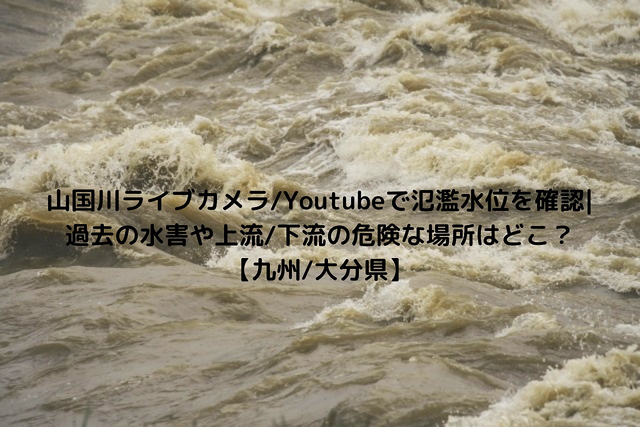山国川ライブカメラ Youtubeで氾濫水位を確認 過去の水害や上流 下流の危険な場所はどこ 九州 大分県 Nakaseteの普通が一番むずかしい