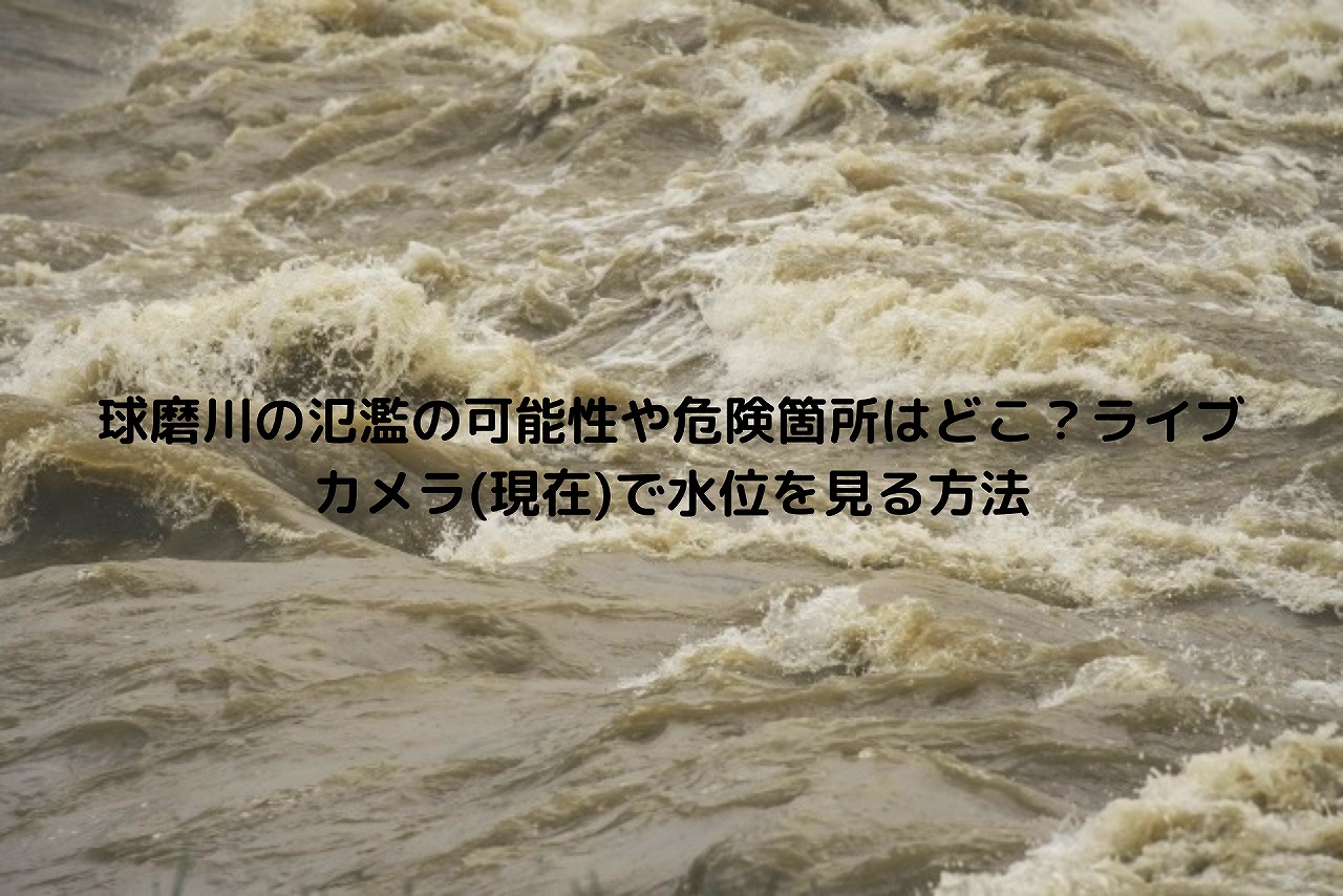 球磨川の氾濫の可能性や危険箇所はどこ ライブカメラ 現在 で水位を見る方法 Nakaseteの普通が一番むずかしい 球磨川の氾濫の可能性や危険箇所はどこ ライブカメラ 現在 で水位を見る方法 Nakaseteの普通が一番むずかしい